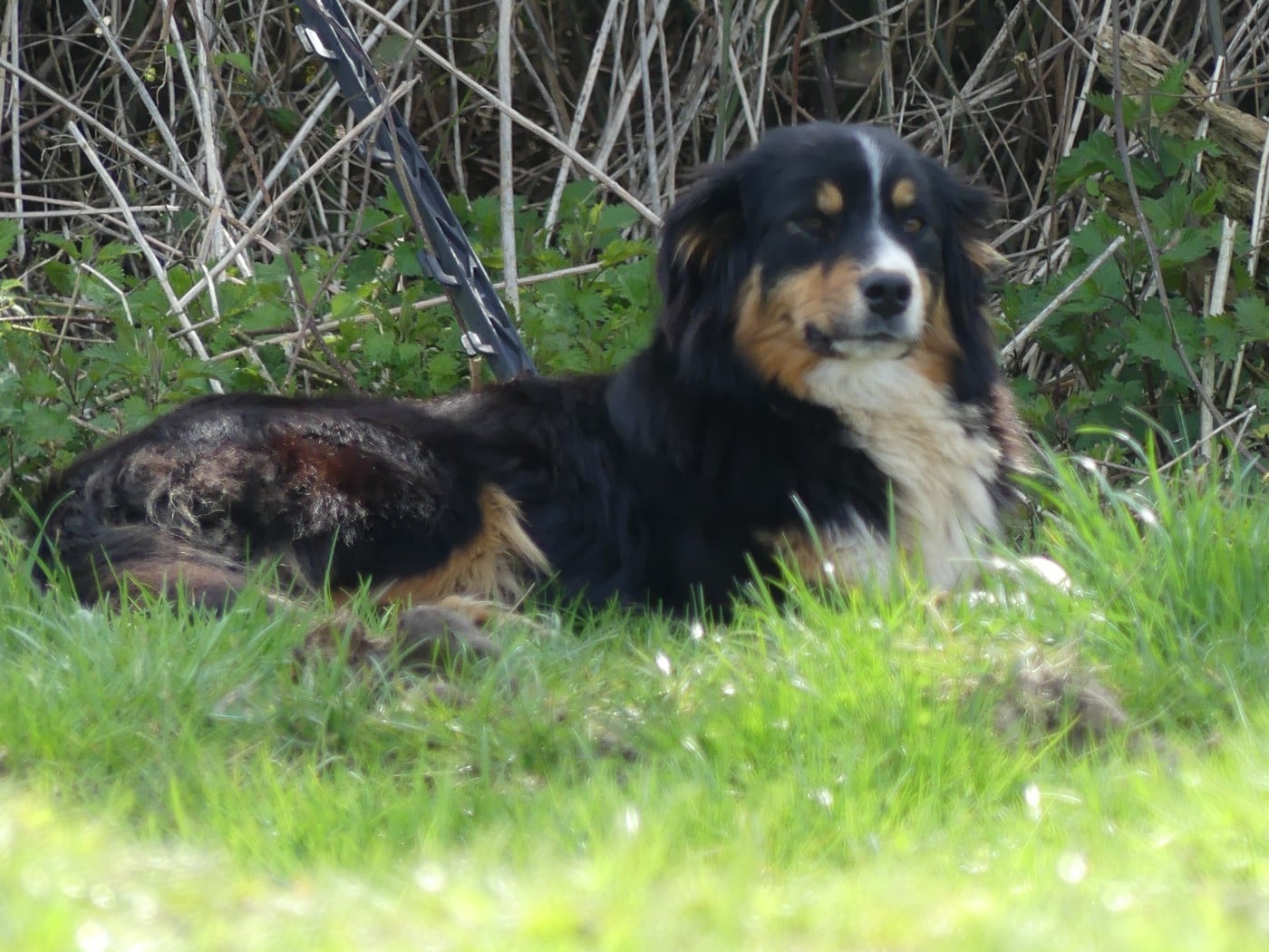 Publication : de l'éclair du diamant