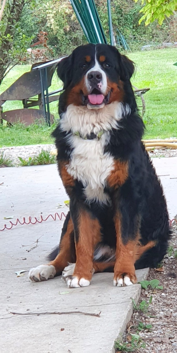 Publication : Des Etoiles Du Vercors 