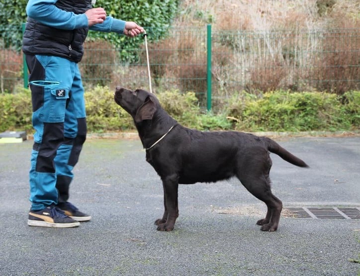 Publication : des Perles De Saint Albin