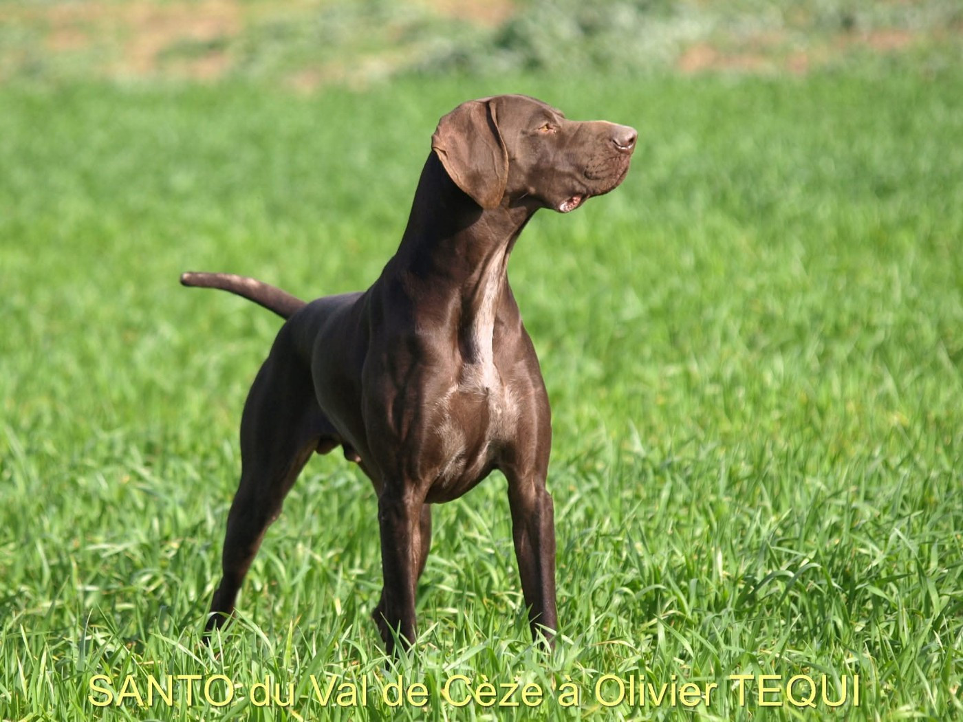 Publication : des terres du moulin de mortagne 