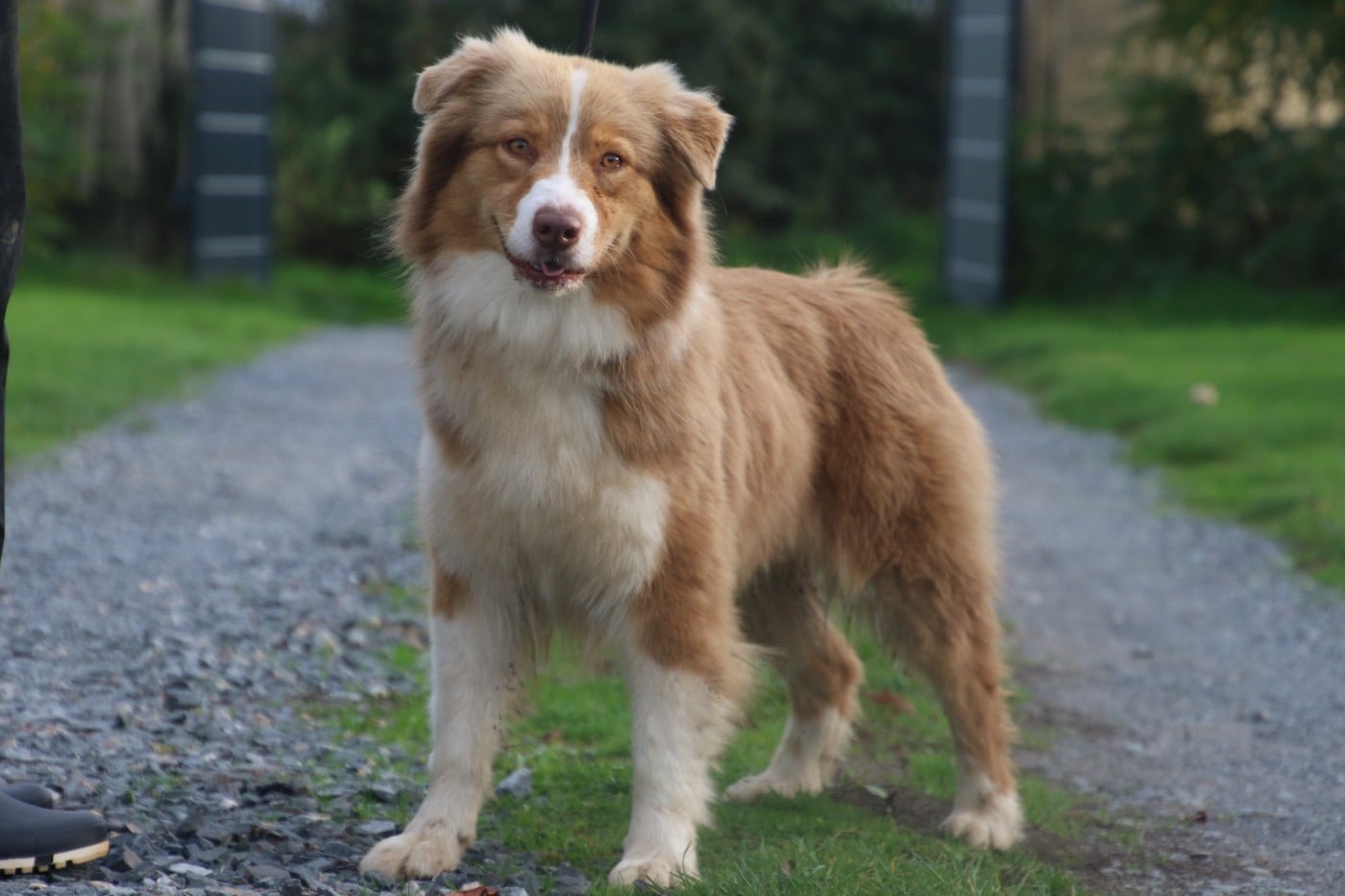 Publication : Du Domaine De La Canurie Auteur : Nathalie Foure