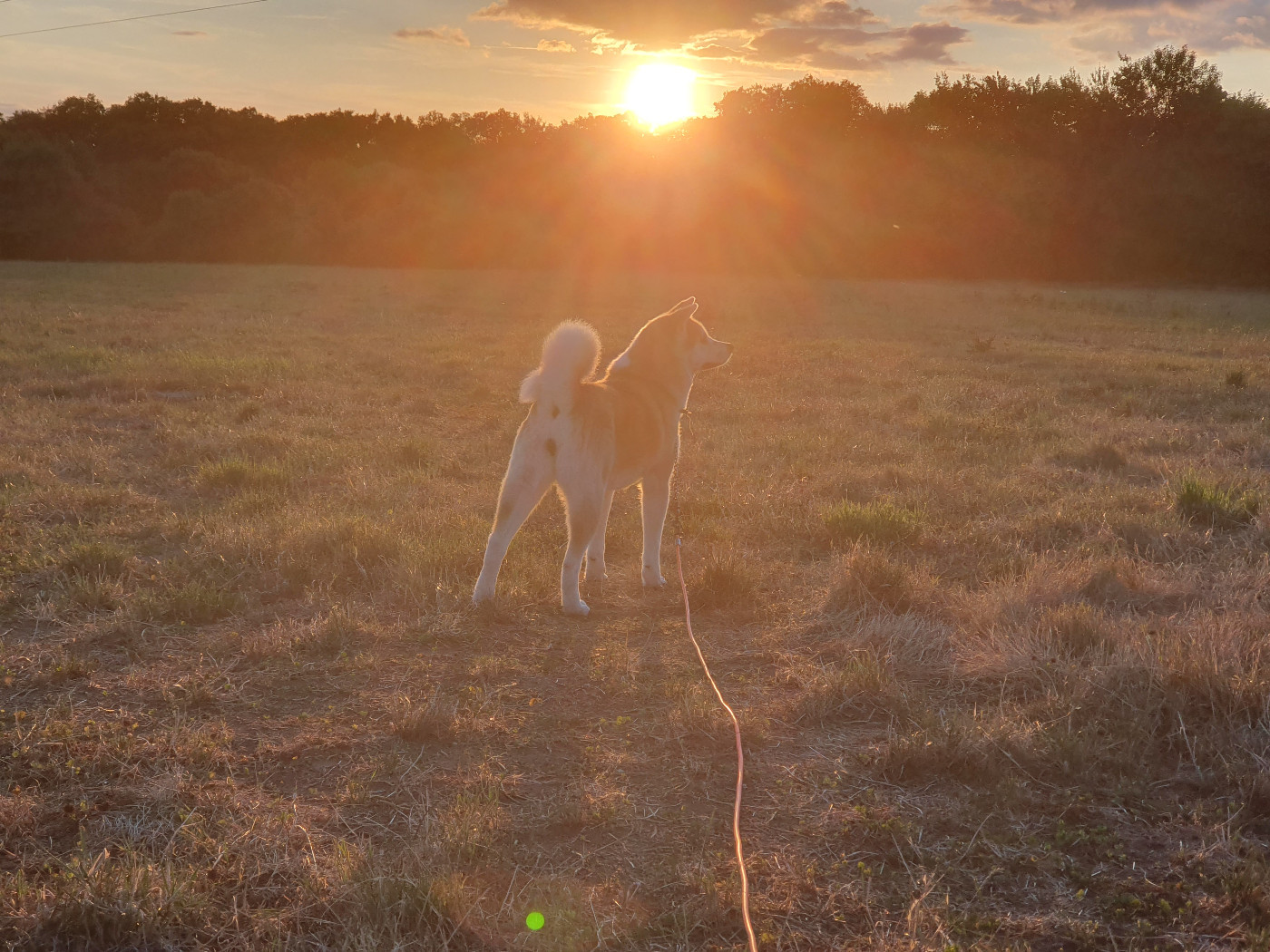 Publication : Of Hisako 