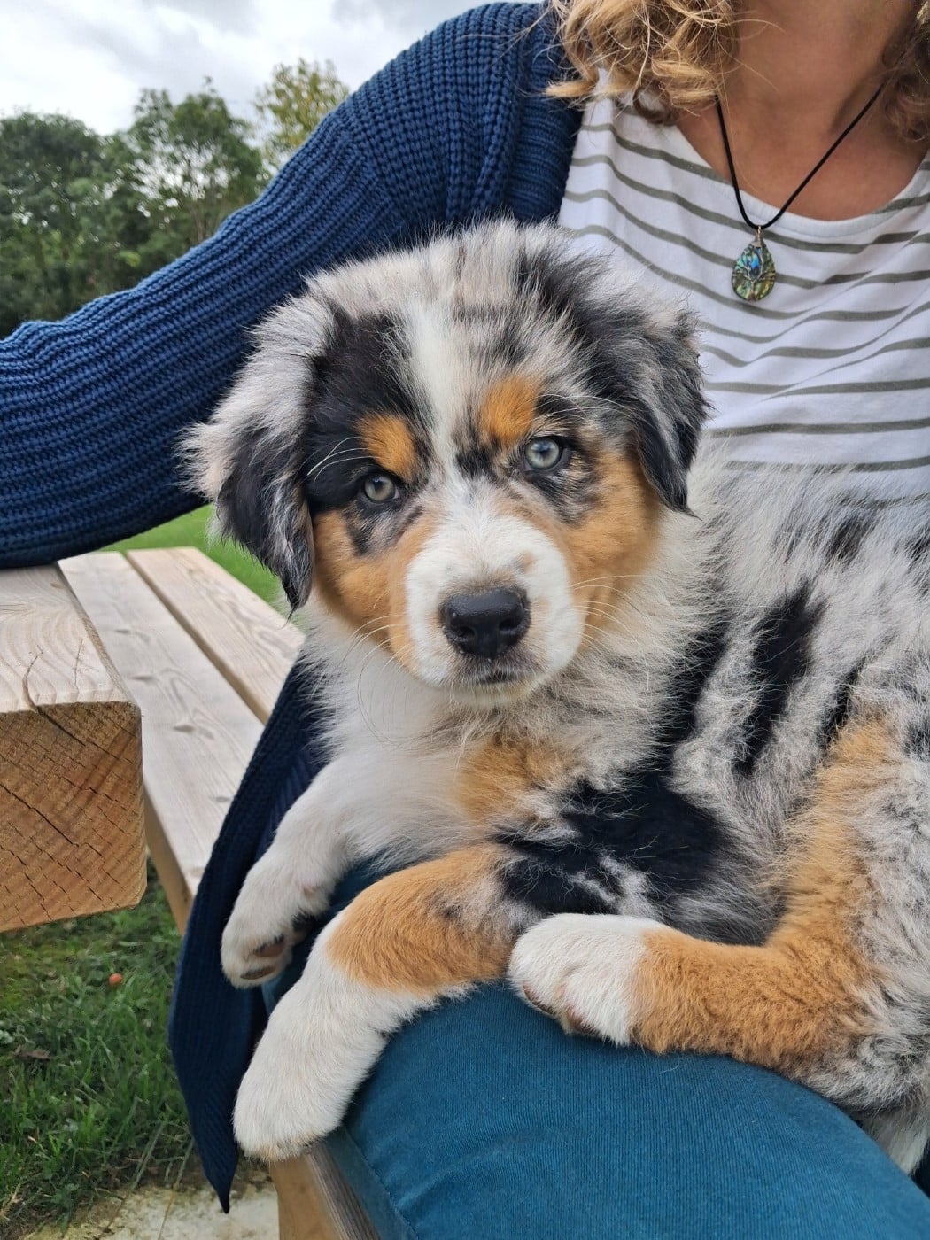 Publication : de l'empreinte Eternelle 