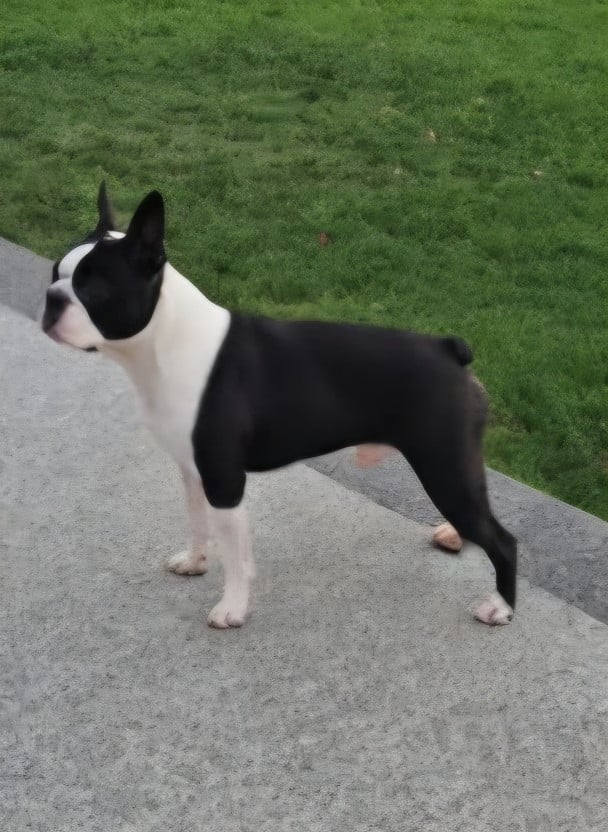 Publication : Du Domaine De La Cour Souveraine