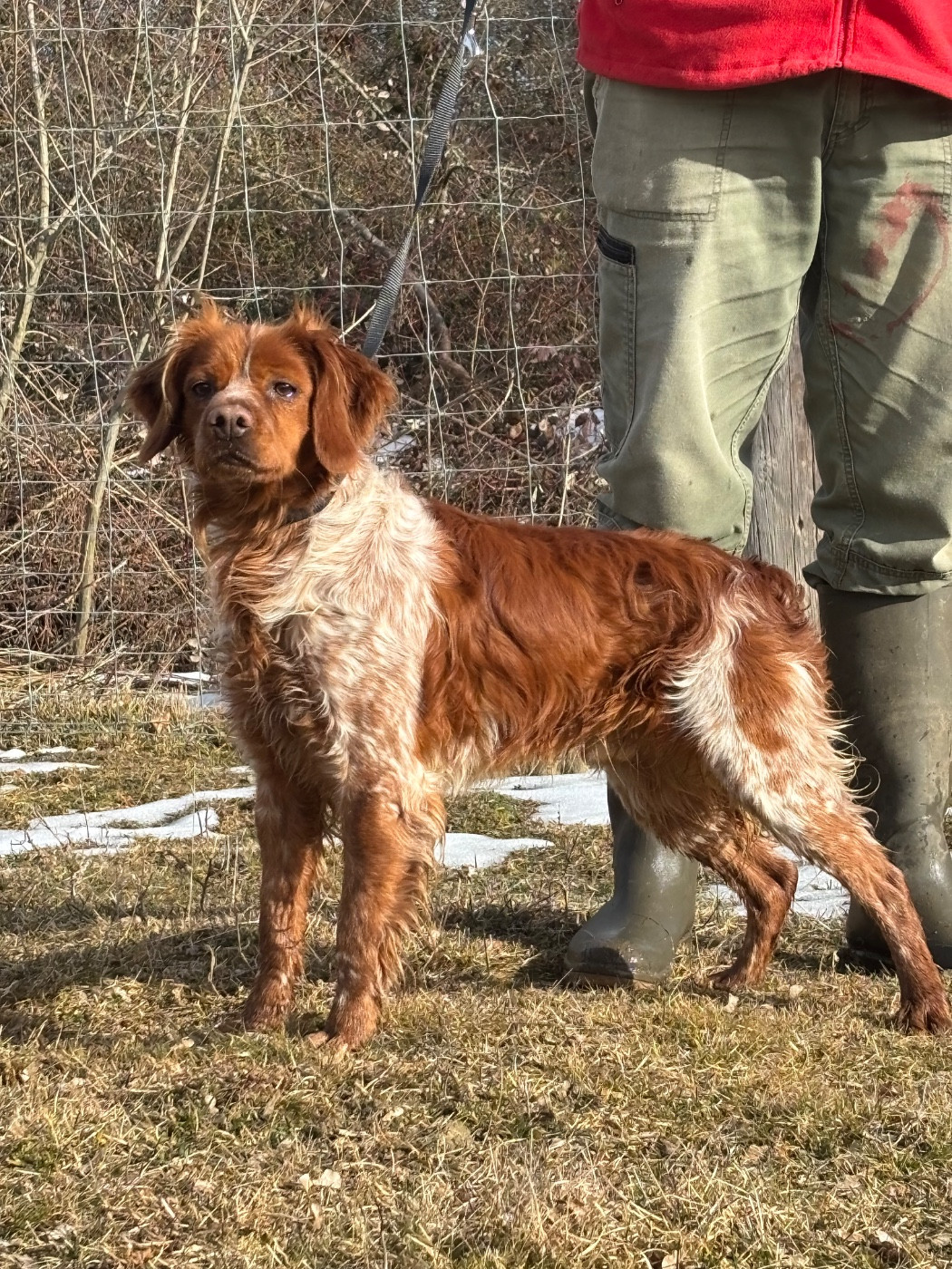 Publication : De La Terrible Menée 