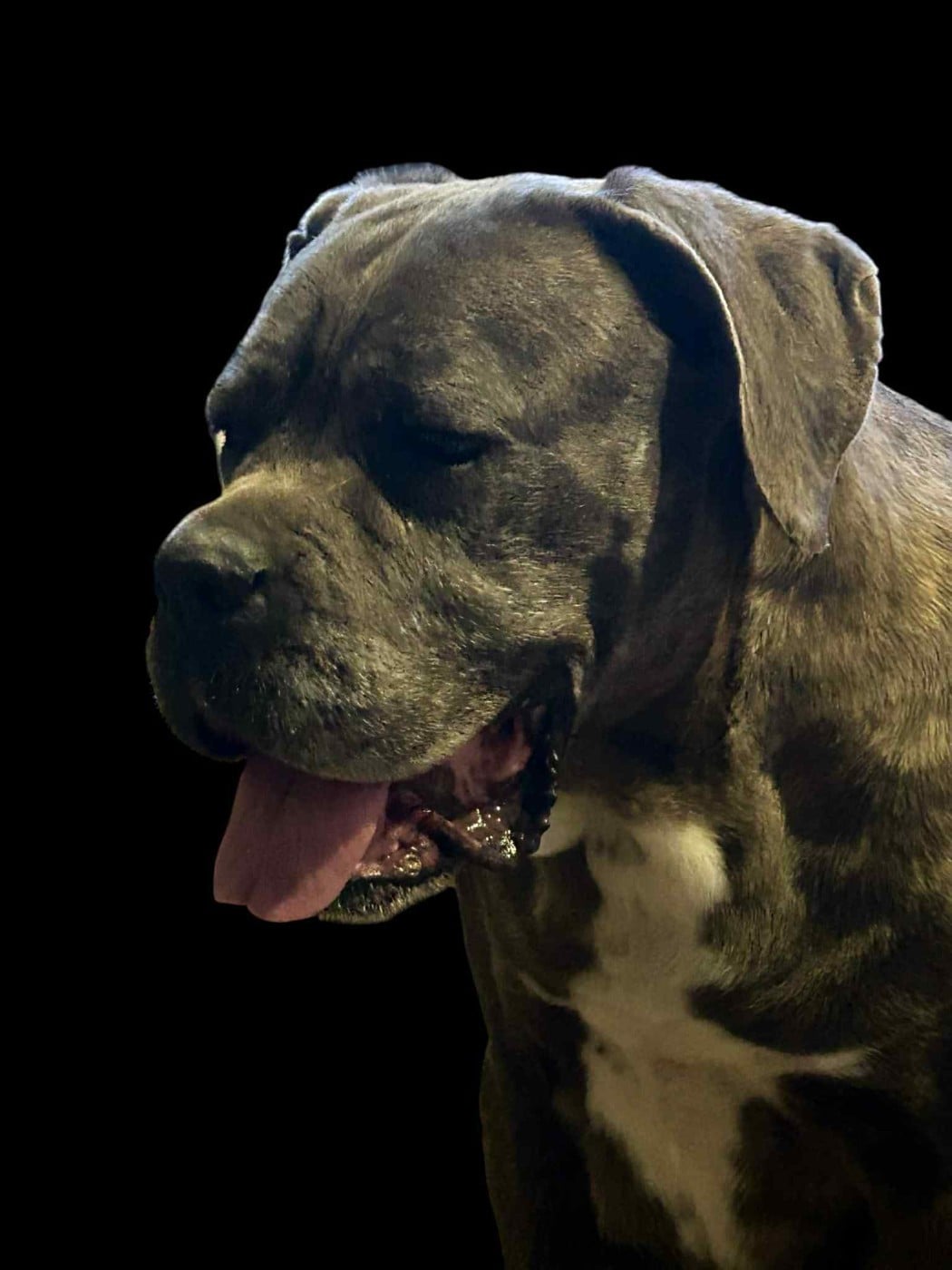 Publication : Du Règne De Malaudrea