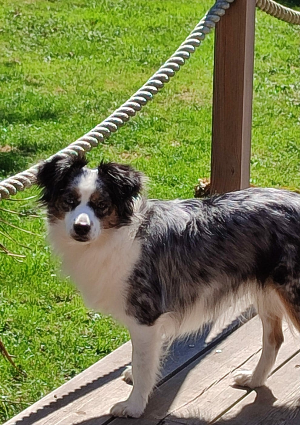 Publication : (Sans Affixe)