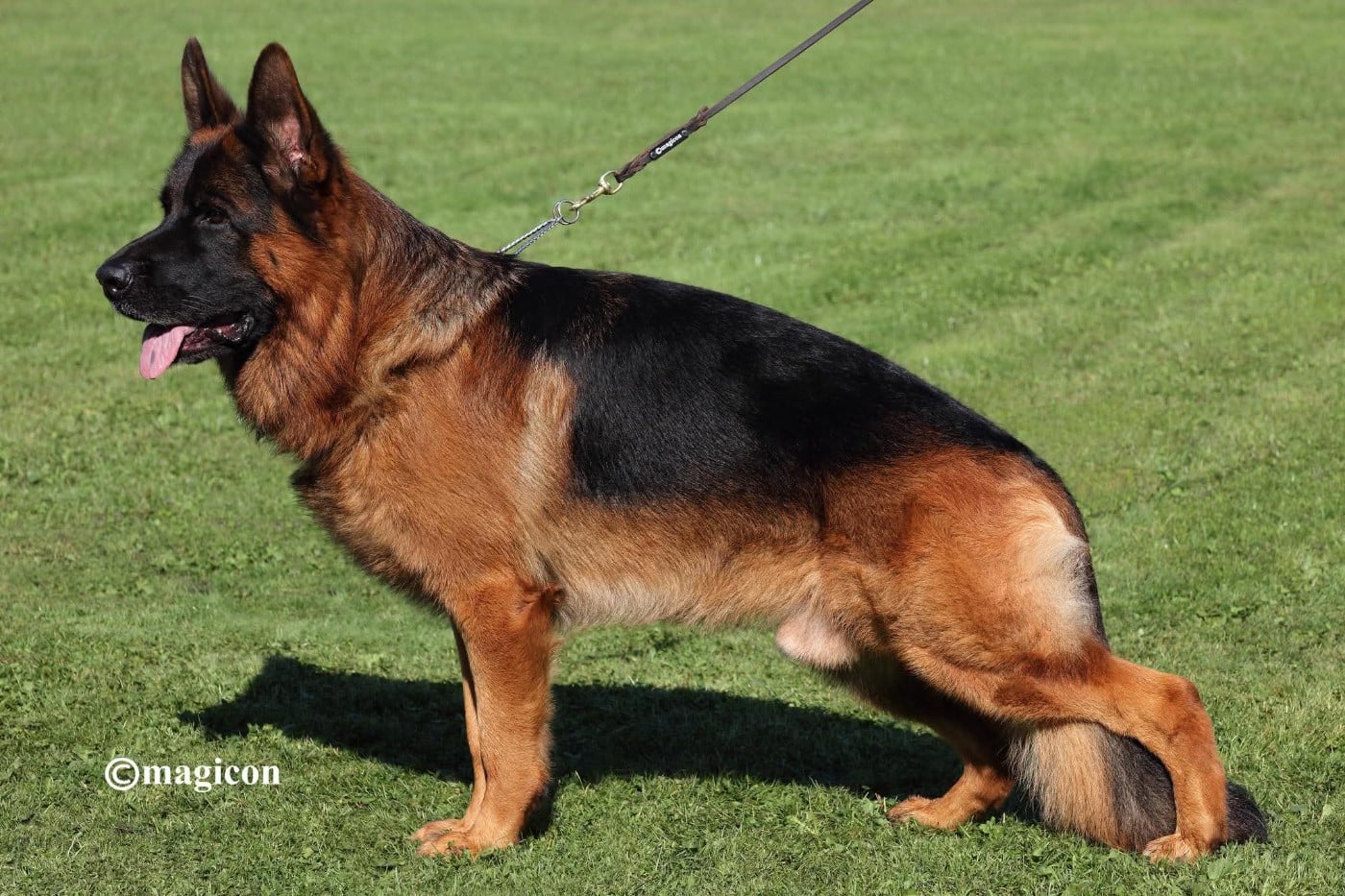 Publication : du Sol Invictus