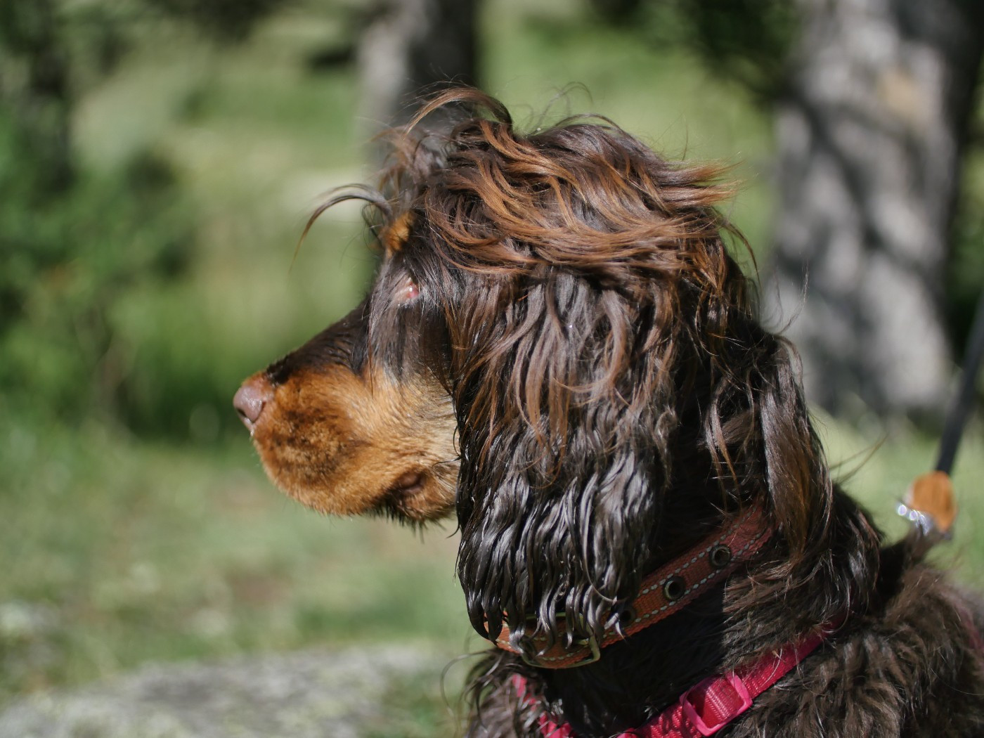 Publication : Domaine De La Jolie Bulle 