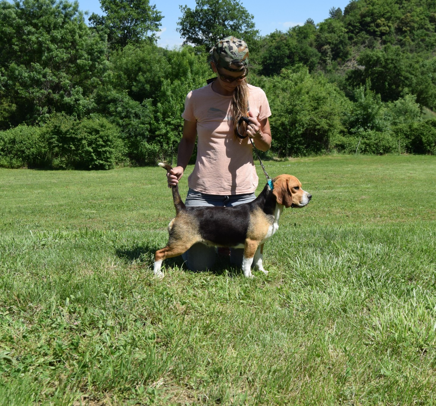 Publication : Bcbg Belle Carrure Belle Gueule Auteur : E Darmand