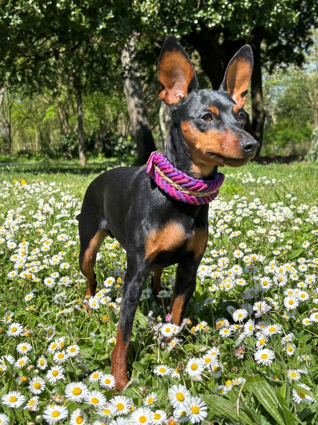 Publication : Des Coeurs De Beurre