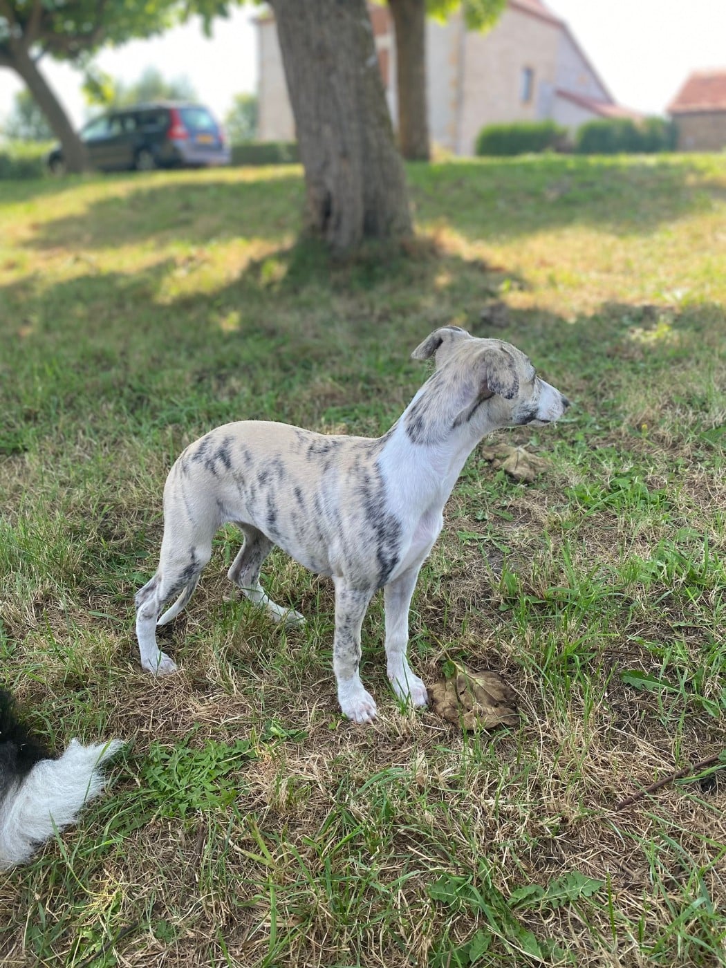 Publication : du domaine des Chojnacki Auteur : M.C.19052024