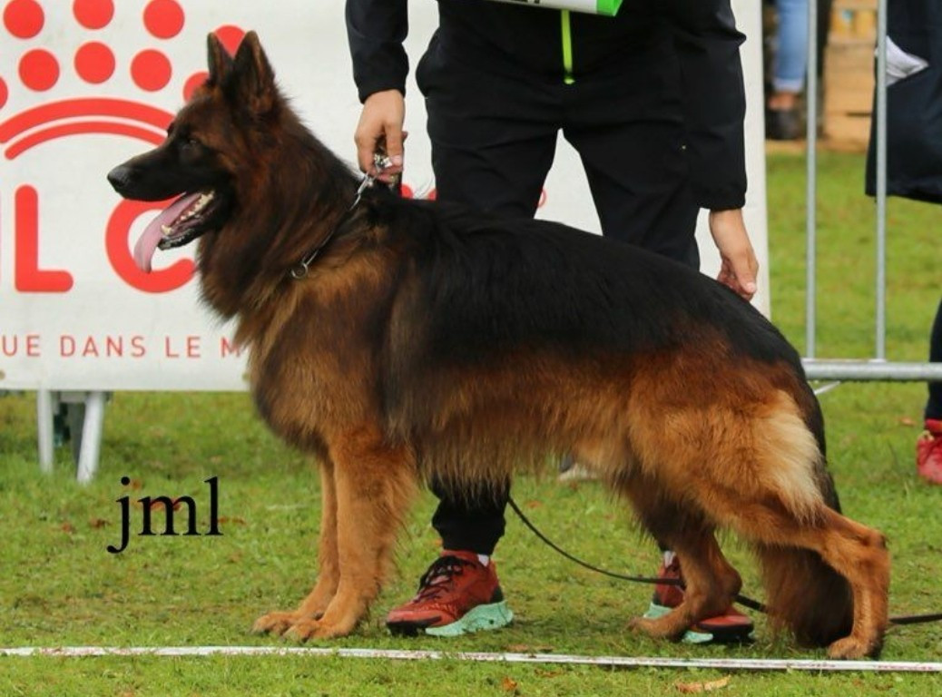 Publication : du domaine de sanctae crucis 