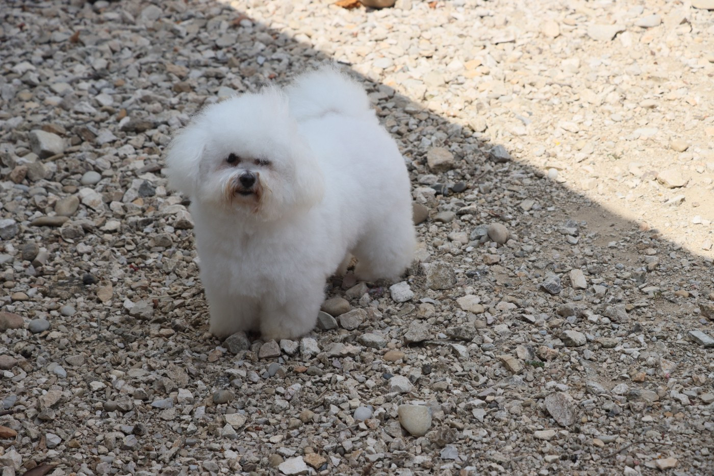 Publication : de la grande equinoxe 