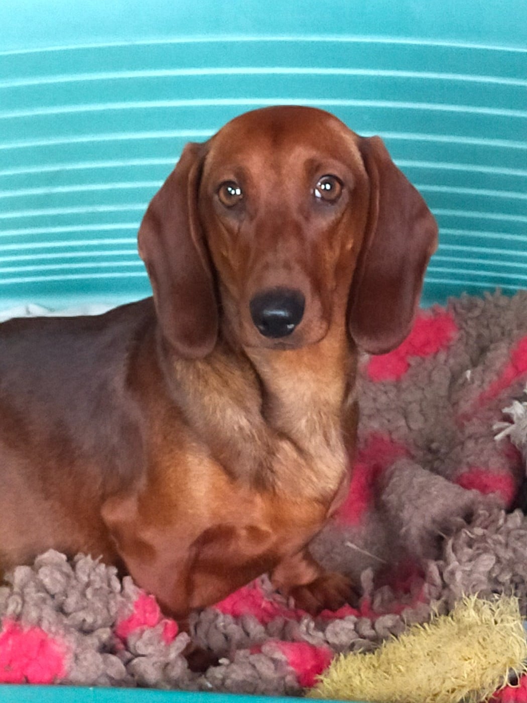 Publication : Des terres du doux lieu 