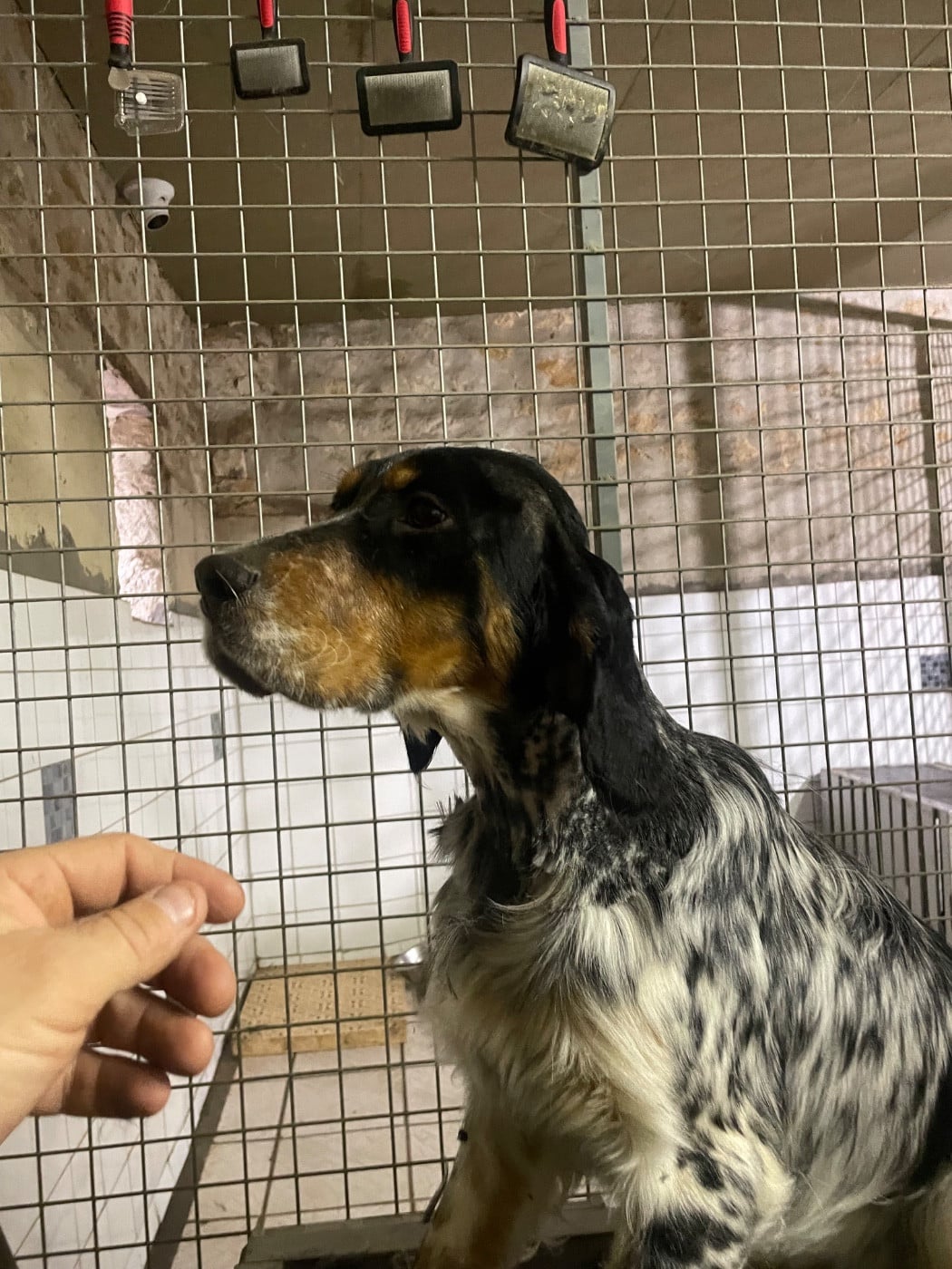 Publication : des terres d'Hudson