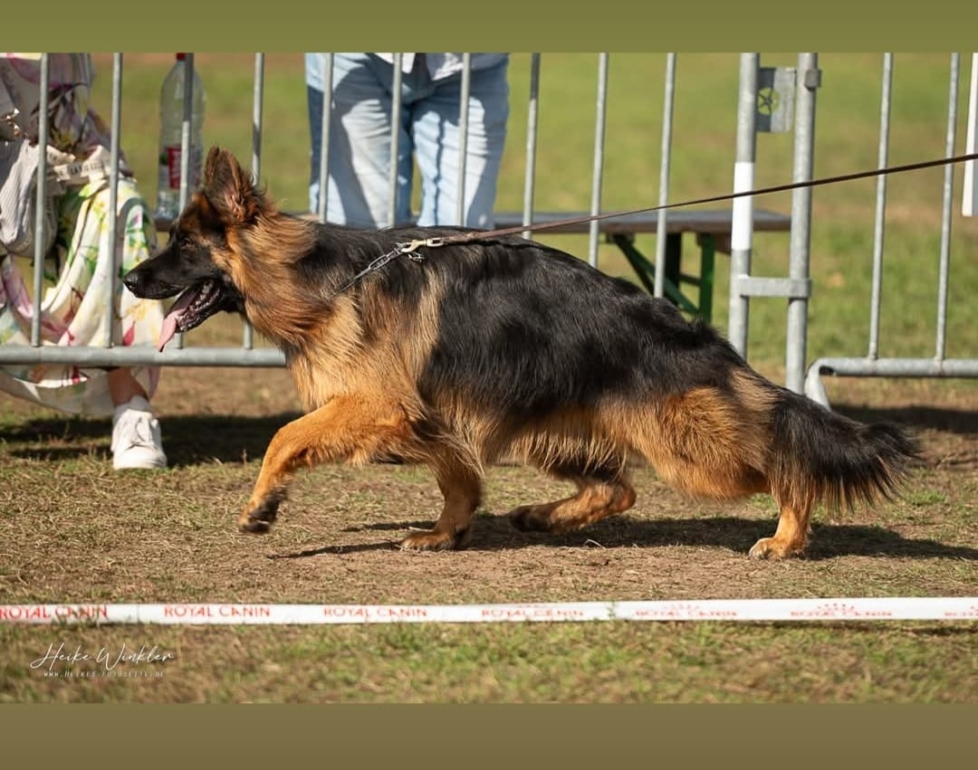 Publication : Casa De Nall 