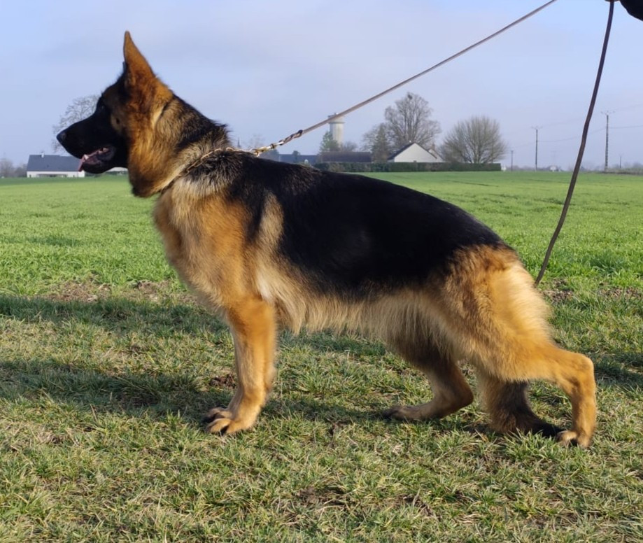 Publication : Casa De Nall 