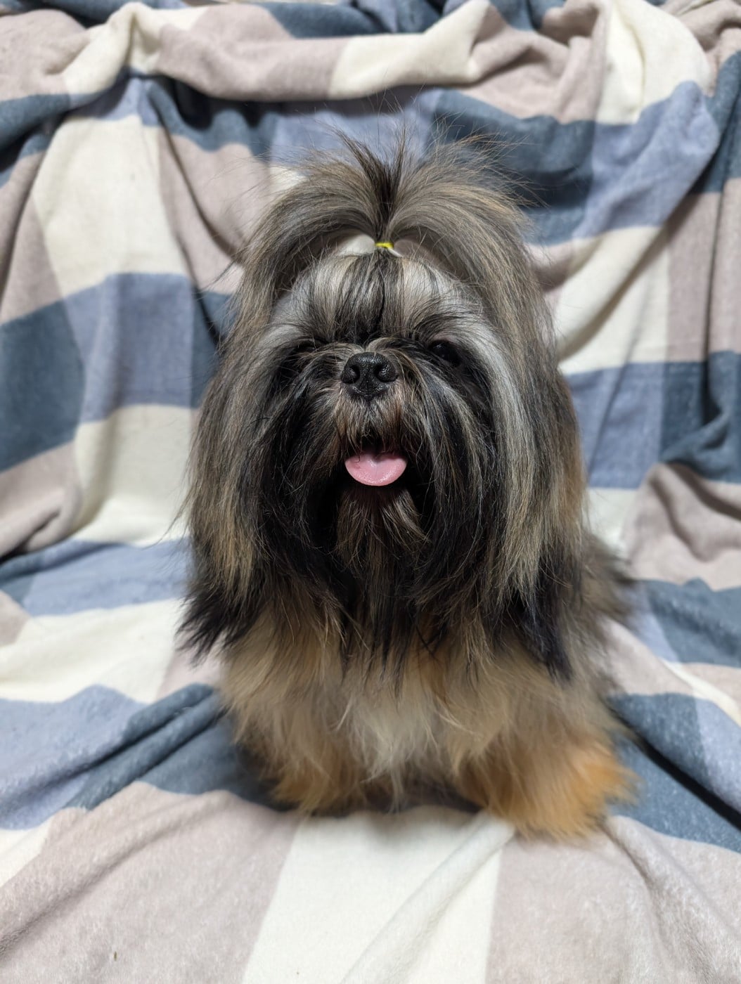 Publication : De La Foret De Chateau Charles 