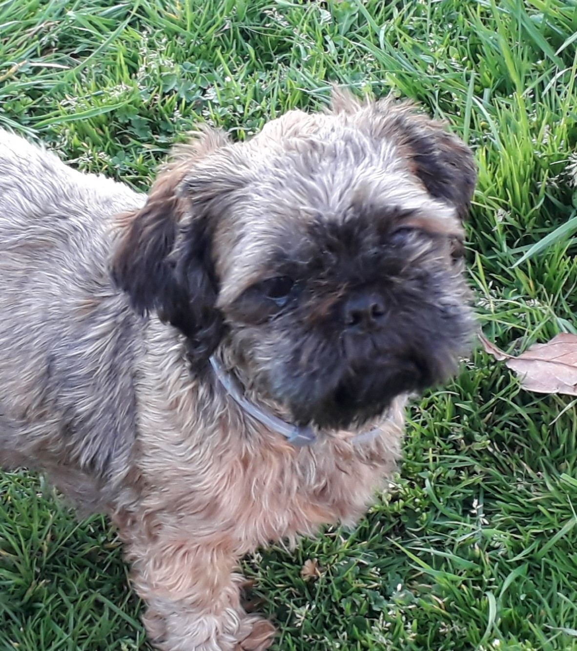 Publication : De La Foret De Chateau Charles