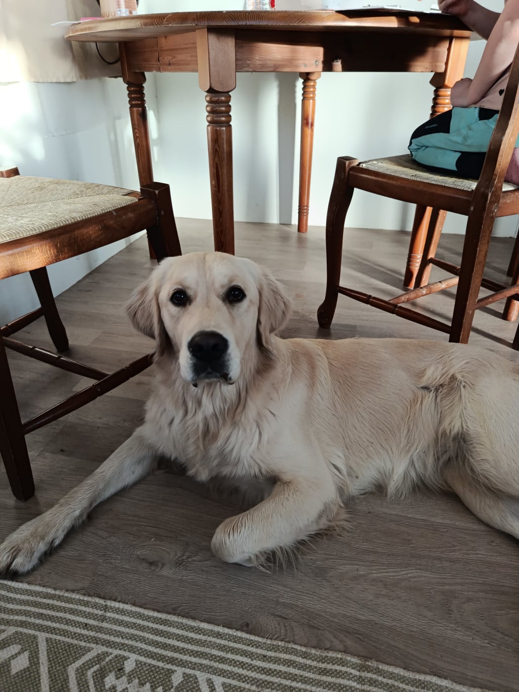 Publication : Du Bosquet De Betty 