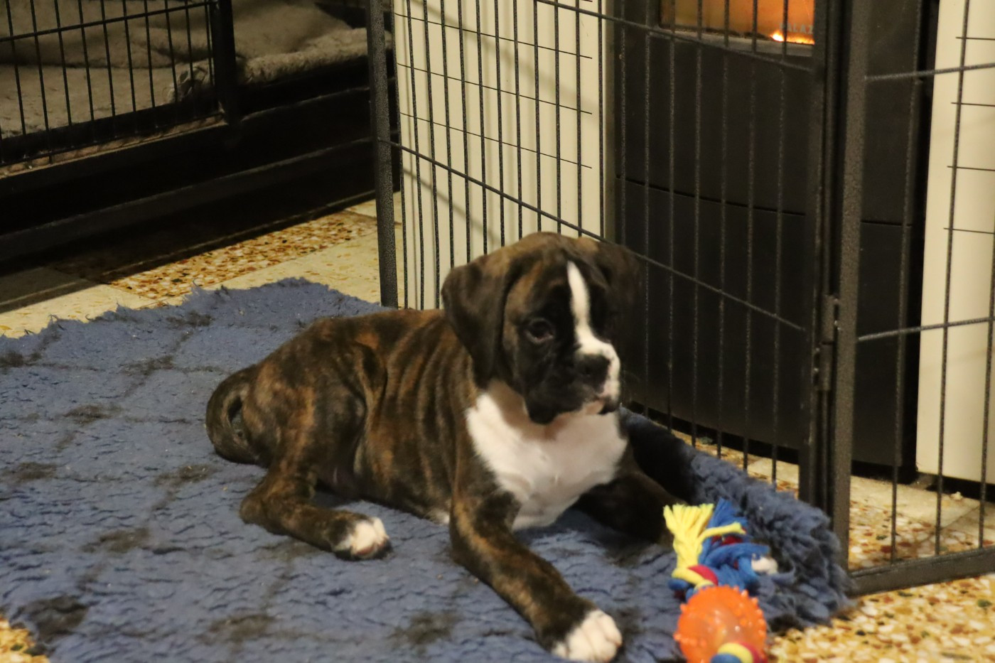 Publication : Du Cap De Nocibe Auteur : M B