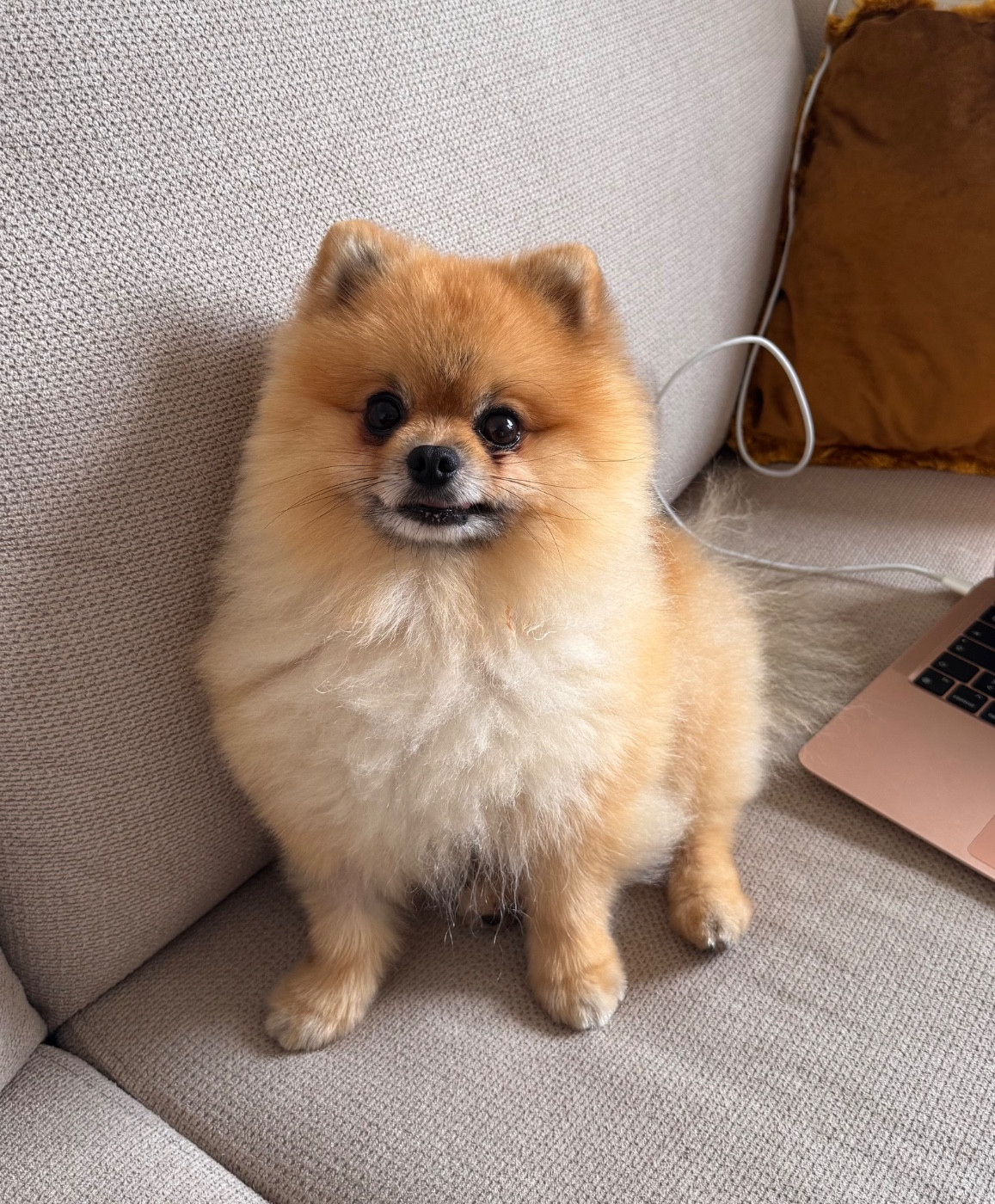 Publication : Yeva Chapeau