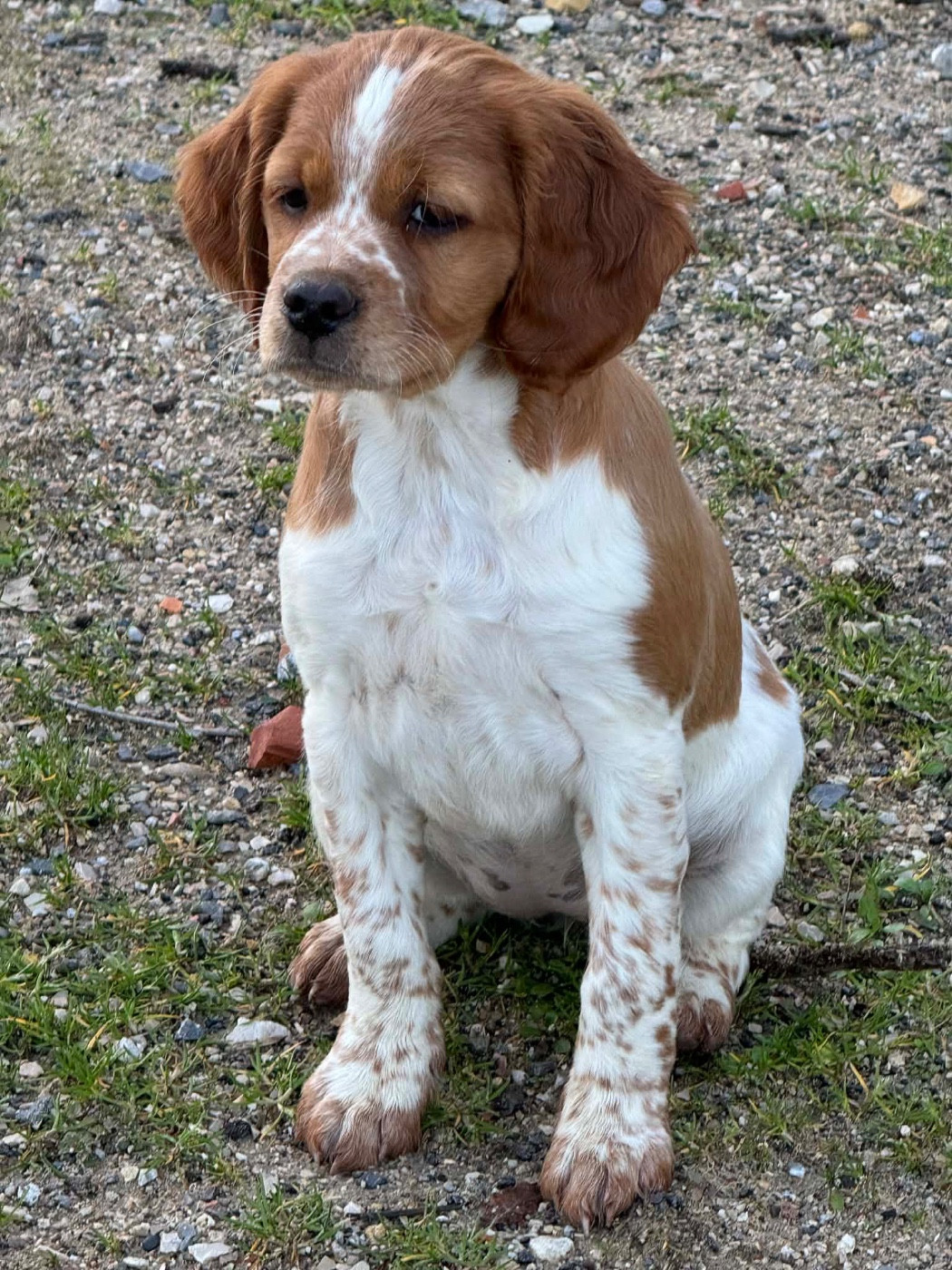 Publication : Du Vallon D'Iron