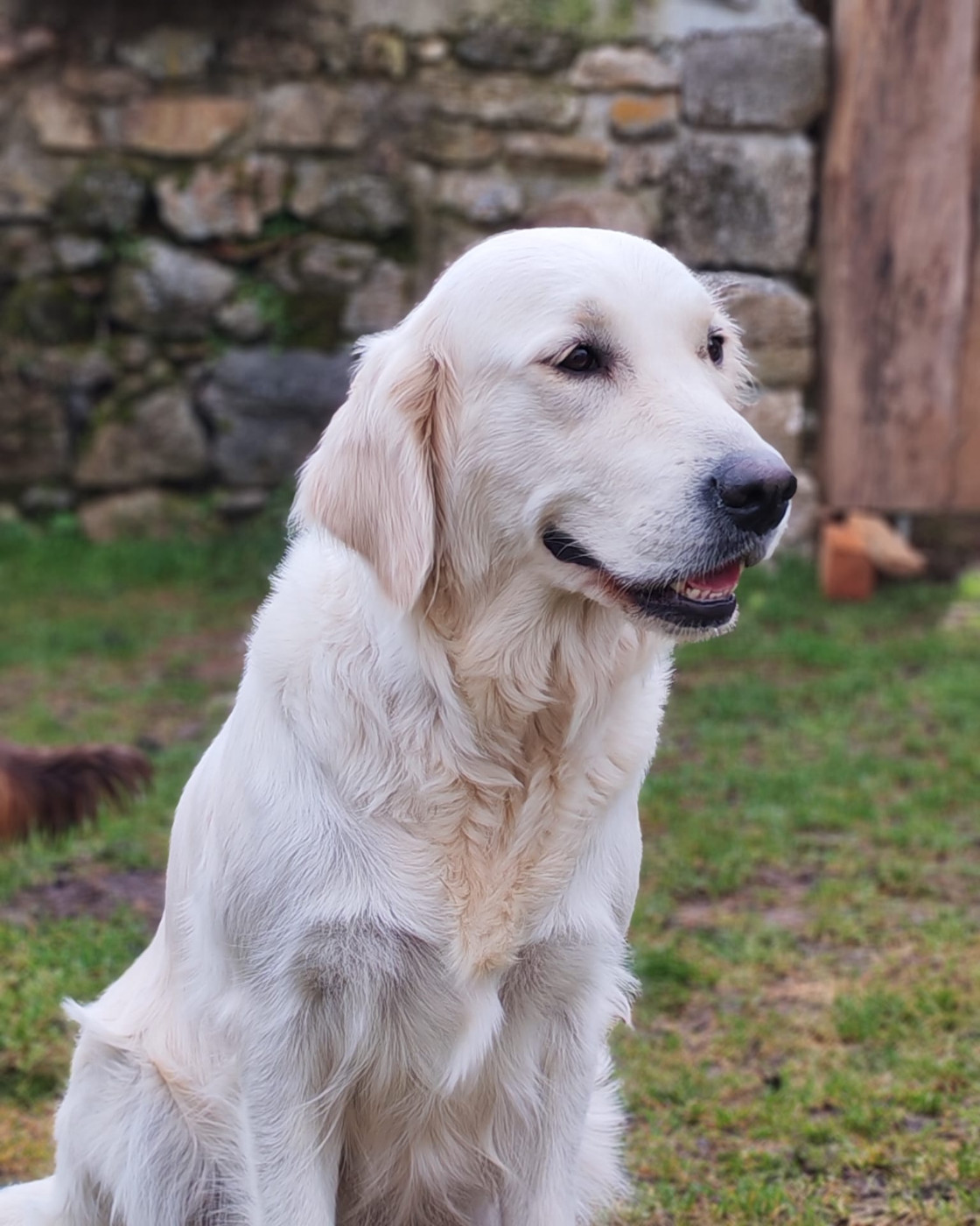 Publication : (Sans Affixe)