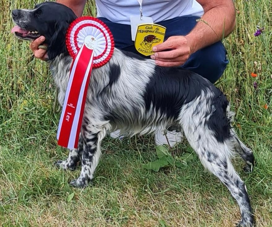 Publication : Des Herbus De La Baie 