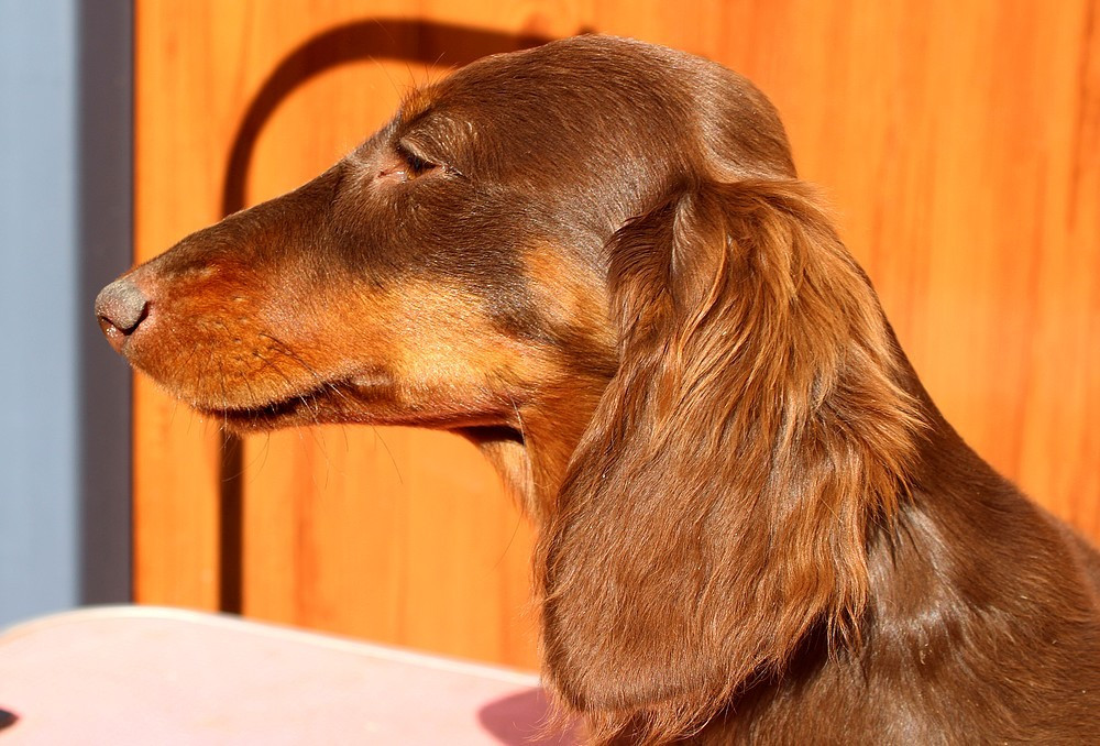 Publication : Of Moonlight Blue