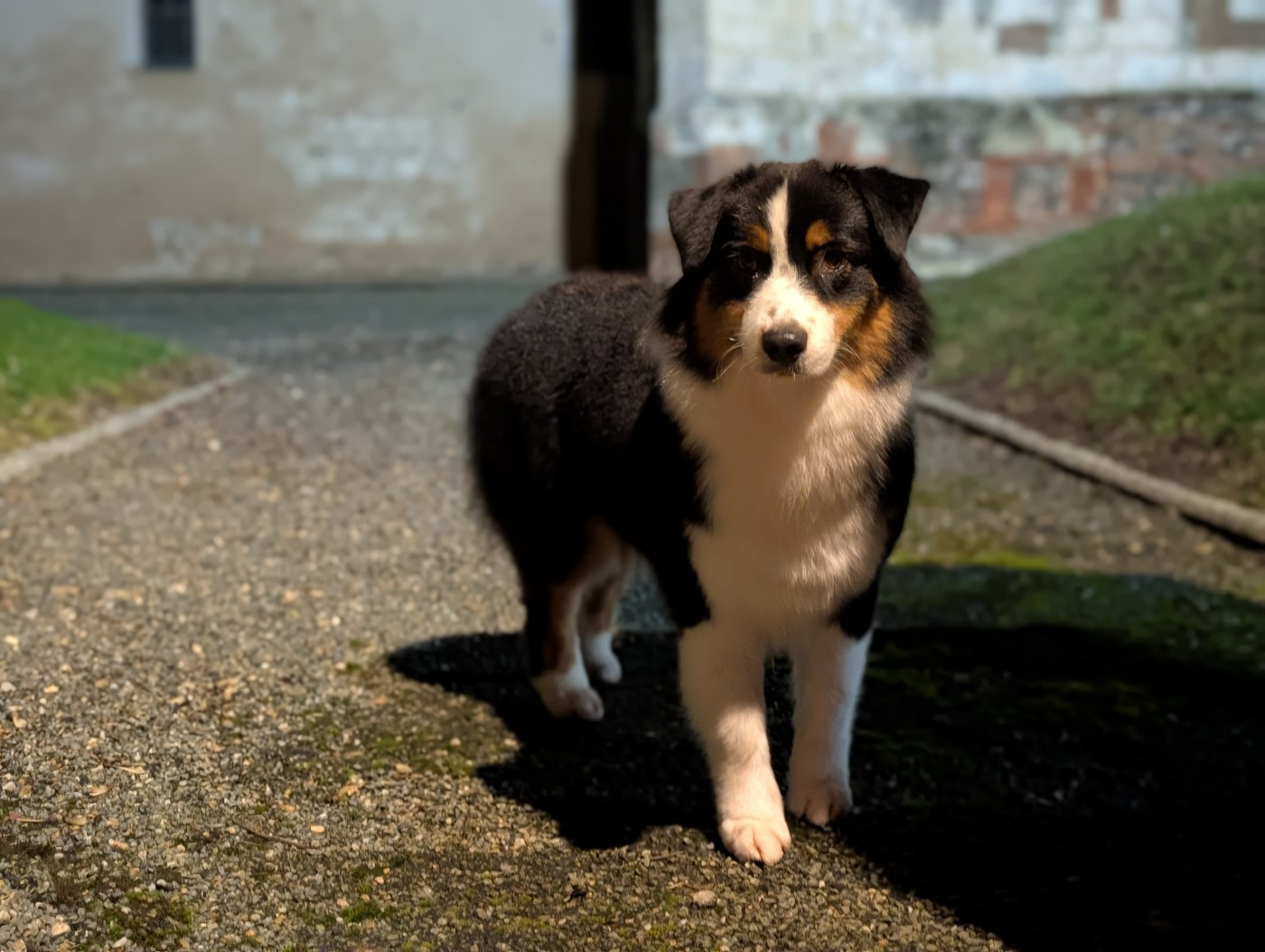 Publication : De L'eldorado Du Bonheur