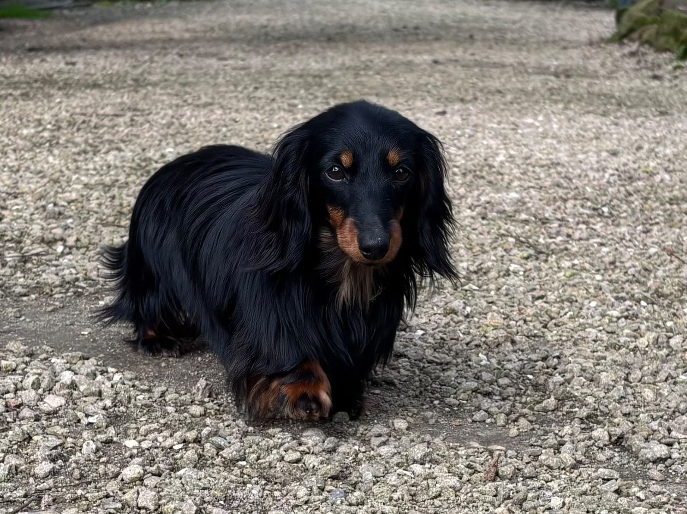 Publication : Du grand baronnet 