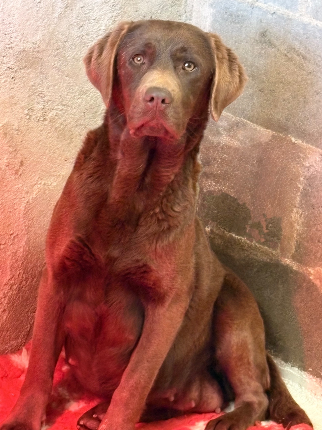 Publication : Du Domaine De Terrut 