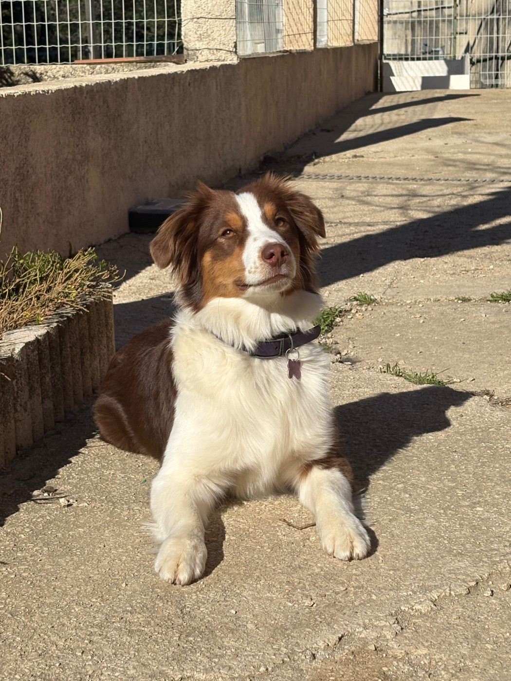 Publication : Des Eternelles Vaykaria 