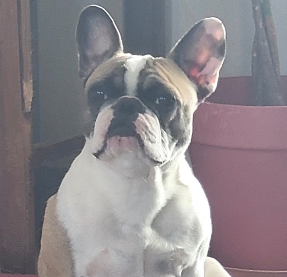 Publication : Des Fontaines Du Bérange 