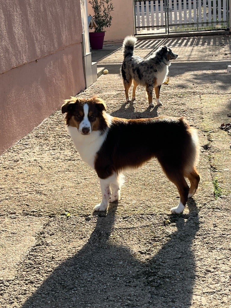 Publication : Des Eternelles Vaykaria 