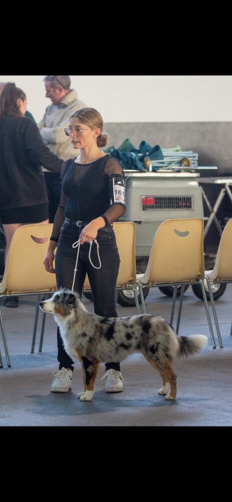 Publication : Des Eternelles Vaykaria 