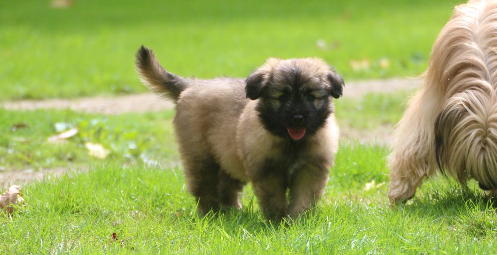 Publication : Du Rêve à La Réalité 