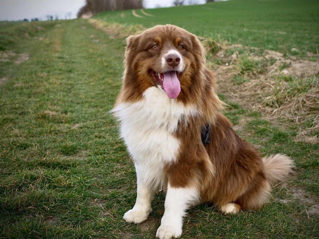 Publication : Johan Moulaire Auteur : Johan