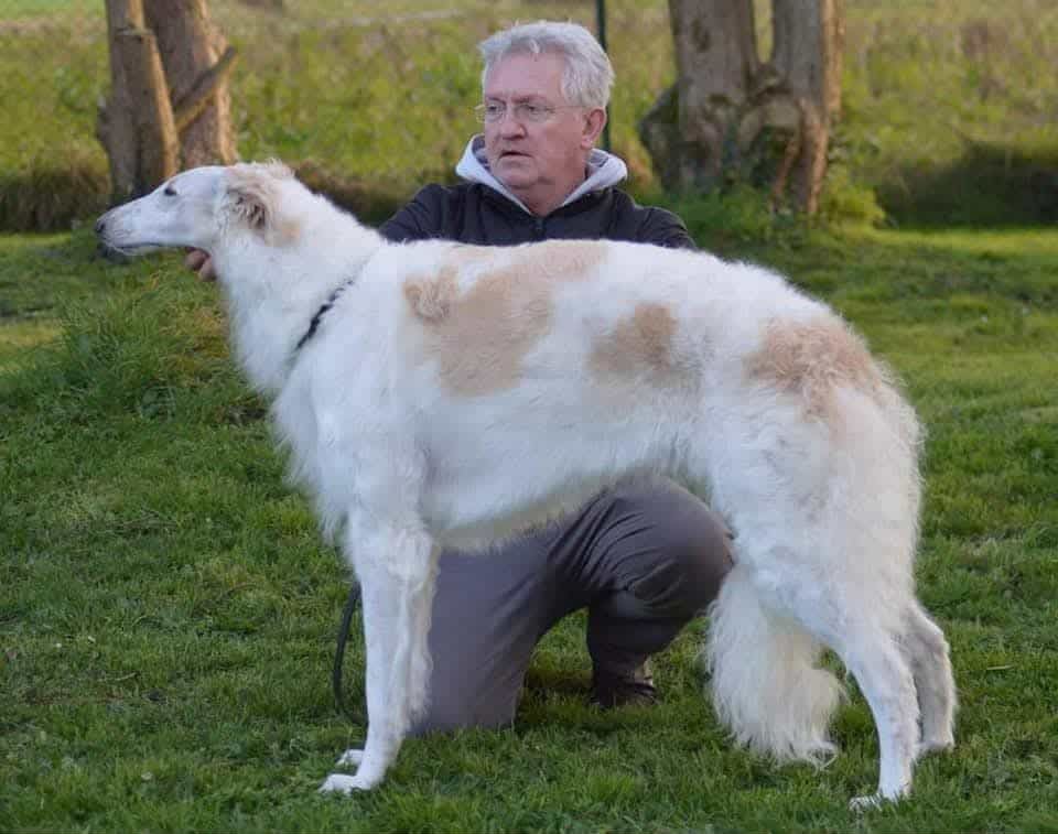 CH. Petrushka Du cot regnier