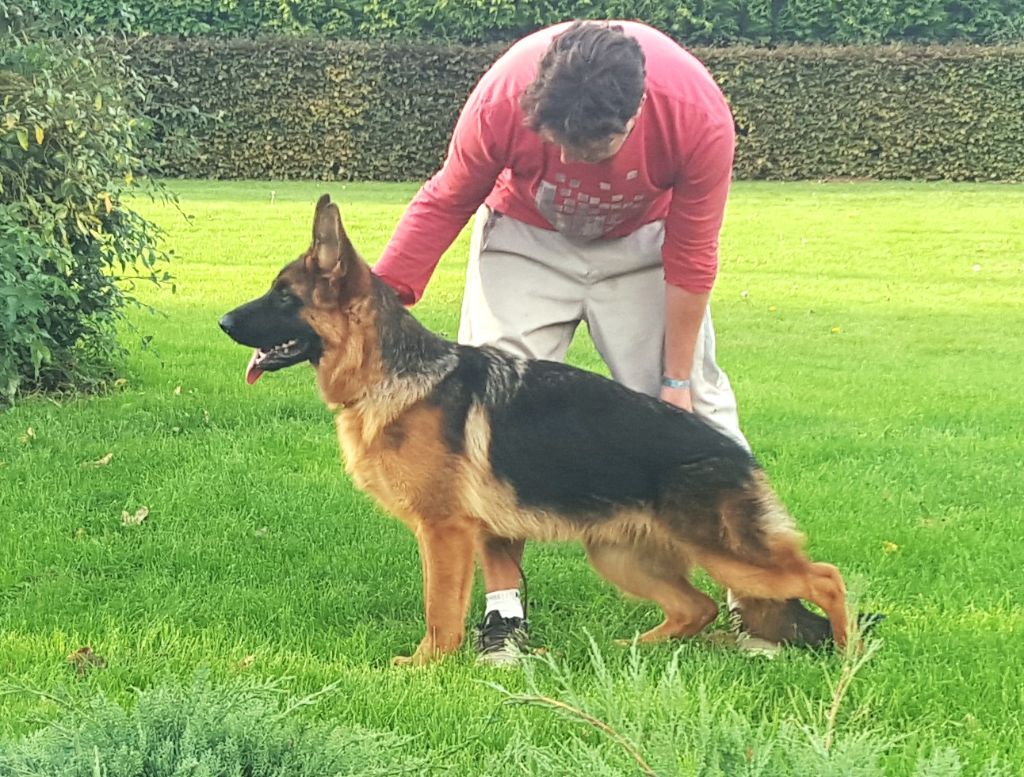 Publication : du Mistral Allemand Auteur : Emmanuel Minet