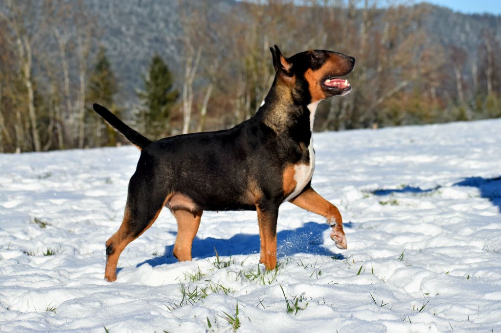 Publication : Du Cajarc 