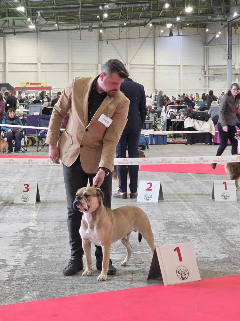 Publication : Des Dieux De L'arène