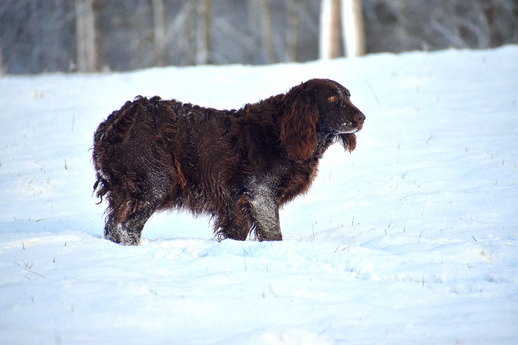 Publication : Du Cajarc 