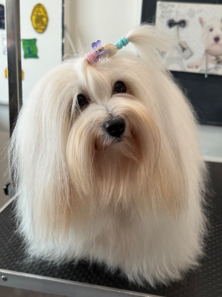 Publication : Des Perles D'Arguin 