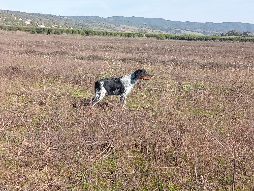 Publication : De Los Majadales