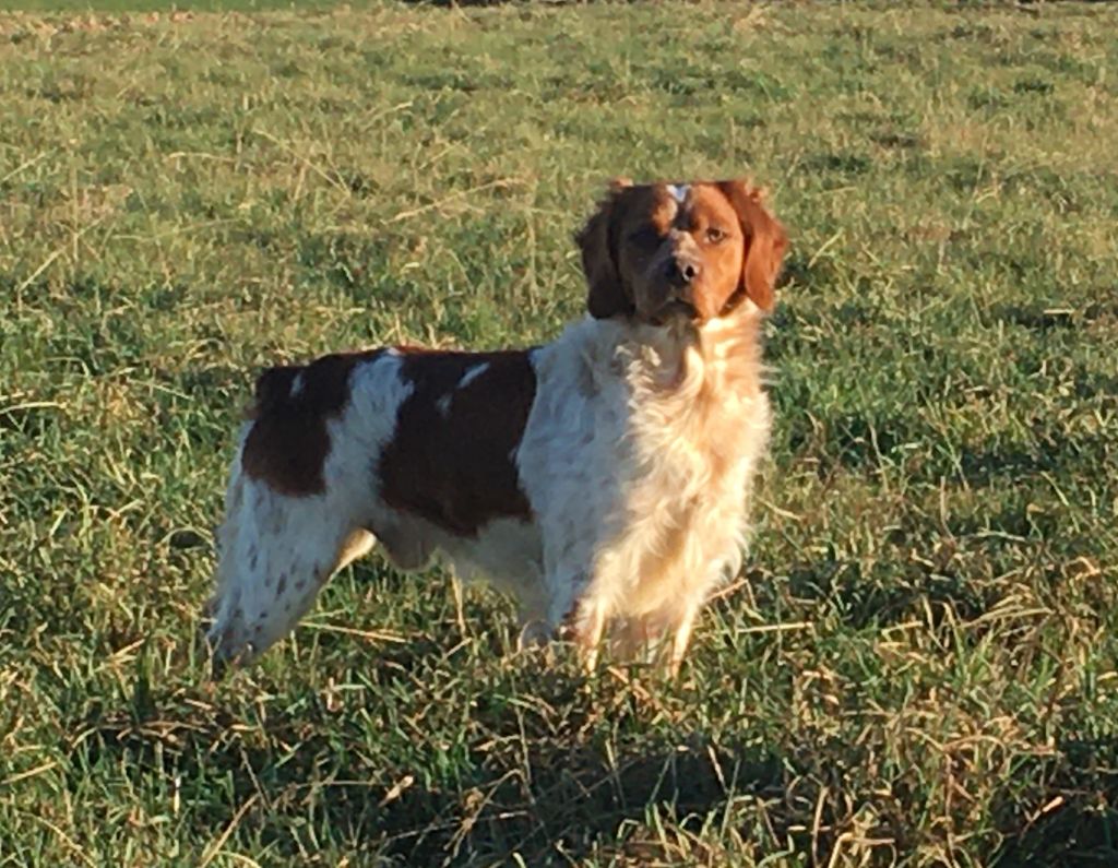 Publication : de la butte de suin 