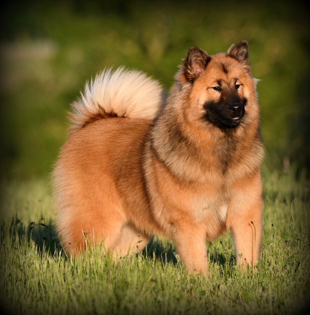 Publication : des Legendes de Retz 