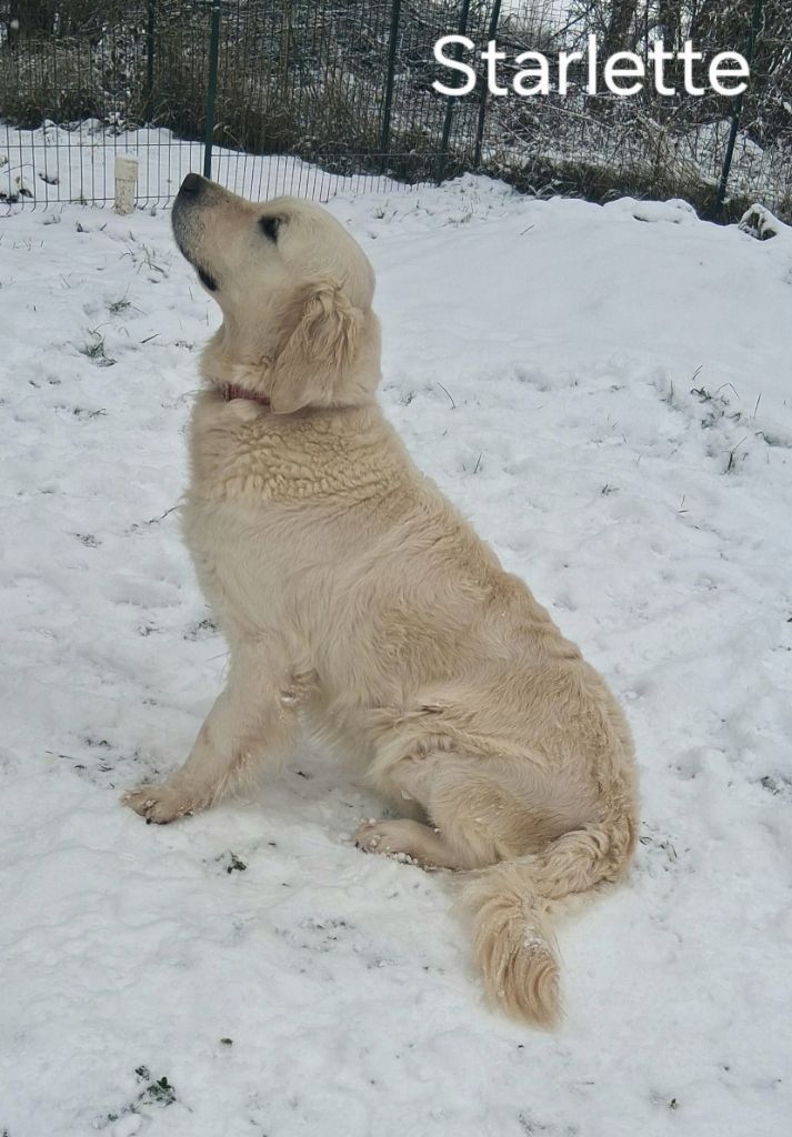 Publication : Du domaine des eurantes 